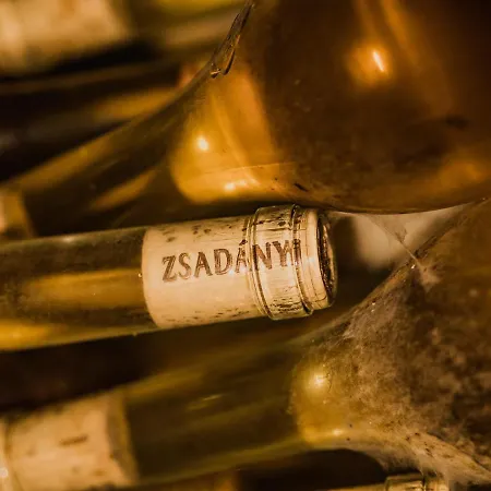 Zsadanyi Vendeghaz Bed & Breakfast Tállya